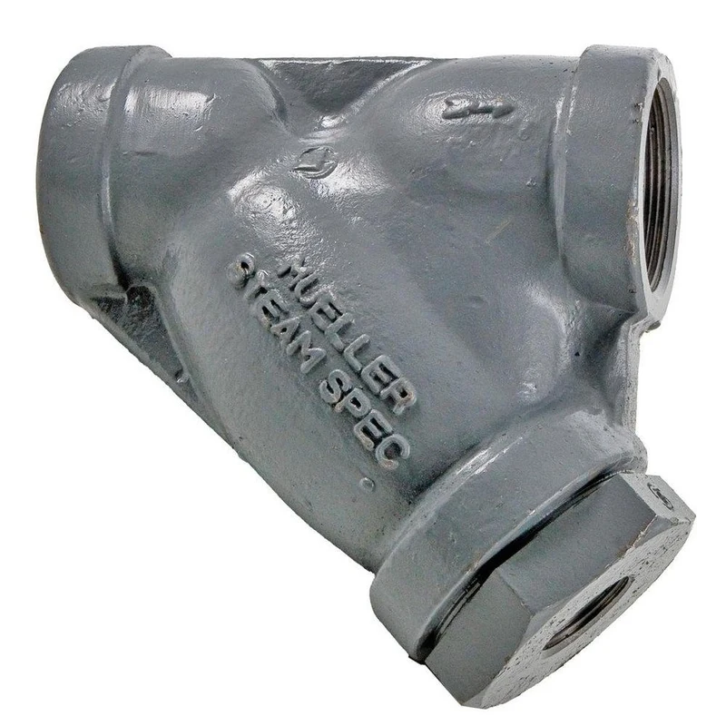 Mueller Steam Specialty Model 581 1 in. Carbon Steel 600# Thread Perforated Wye Strainer | Ferguson